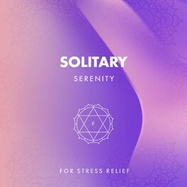Album cover of zZz Solitary Serenity for Stress Relief zZz