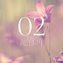 Album cover of The Ambient Project, Vol. 2