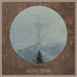 Album cover of Internal Motion