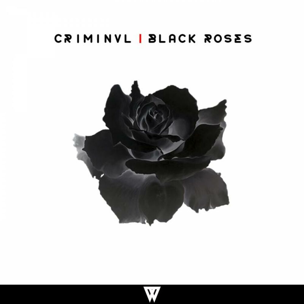 Альбом black. Black Rose обложка. Roses обложка альбома. Черные розы обложка для трека. Альбом с розой на обложке.