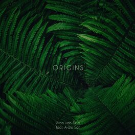 Album cover of Origins (feat. Ardie Son)