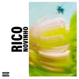 Album cover of Rico Novinho