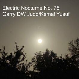 Album cover of Electric Nocturne No. 75