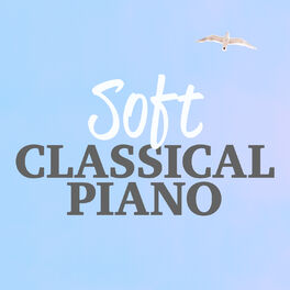 Soft classical store piano