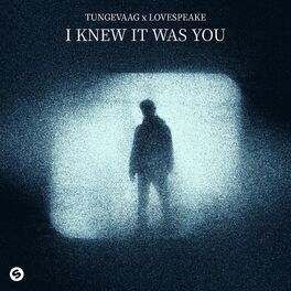 Album cover of I Knew It Was You