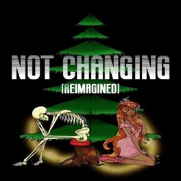 Album cover of Not Changing (feat. David Alexander) [Reimagined]