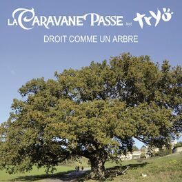 Album cover of Droit comme un arbre (feat. Tryo)