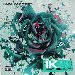 Album cover of IK IK (feat. Big Havi)