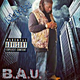 Album cover of B.A.U. Business As Usual