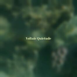 Album cover of Voltaic Quietude