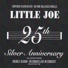 Album cover of 25th Silver Anniversary (Live)