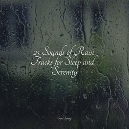 Album cover of 25 Sounds of Rain Tracks for Sleep and Serenity