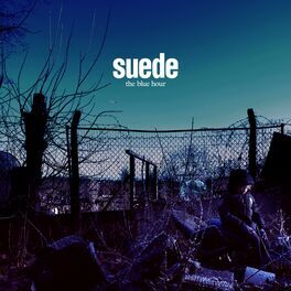 Album cover of The Blue Hour