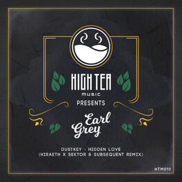 Album cover of Hidden Love (Hiraeth x Sektor & Subsequent Remix)