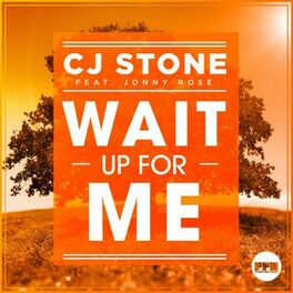 Album cover of Wait up for Me