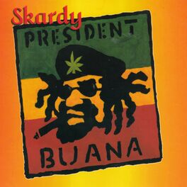 Album cover of President Buana