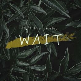 Album cover of Wait (feat. Lilli & Charles)