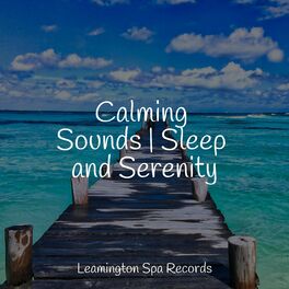 Album cover of Calming Sounds | Sleep and Serenity