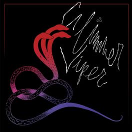 Album cover of Glimmer Viper