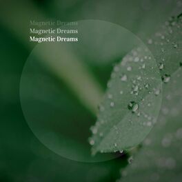 Album cover of Together in Magnetic Dreams