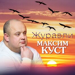 Album cover of Журавли