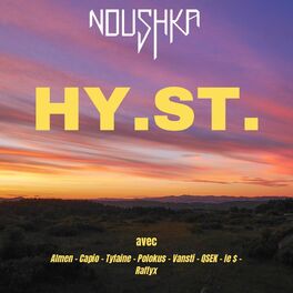 Album cover of Hybridation stylistique mixtape