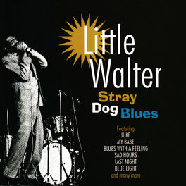 Album cover of Stray Dog Blues