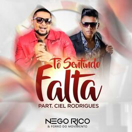 Album cover of Tô Sentindo Falta