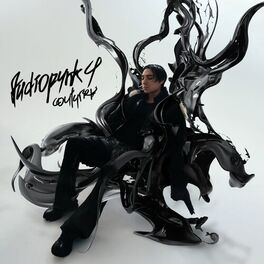 Album cover of AUDIOPUNK 4: Couturier