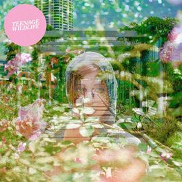 Album cover of Teenage Wildlife EP