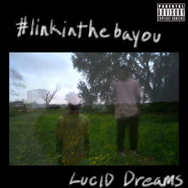 Album cover of #Linkinthebayou