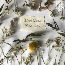 Album cover of Eldon Groove