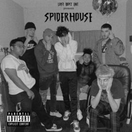 Album cover of Spiderhouse