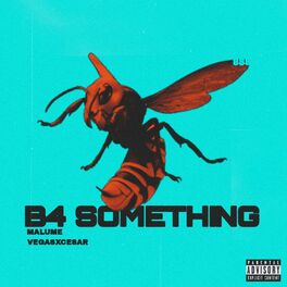Album cover of B4 SOMETHING