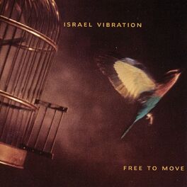 Album cover of Free to Move