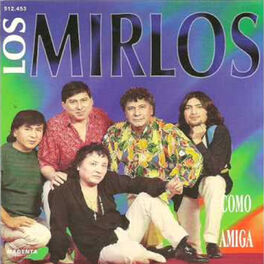 Album cover of Como Amiga