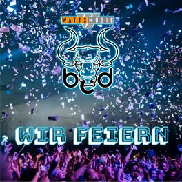 Album cover of WIR FEIERN