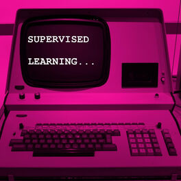 Album cover of Supervised Learning