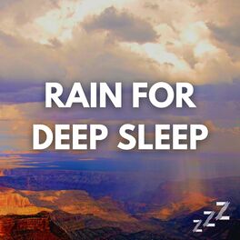 Album cover of Rain For Deep Sleep (Ambient Rain White Noise ASMR For Sleeping, All Loopable)