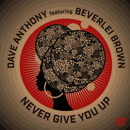 Album cover of Never Give You Up