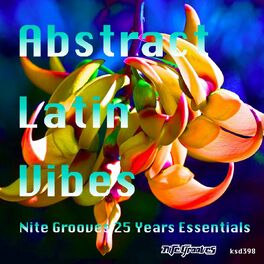 Album cover of Abstract Latin Vibes (Nite Grooves 25 Years Essentials)