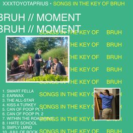 Album cover of Songs in the Key of Bruh