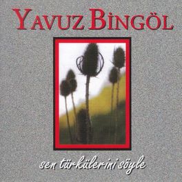 Album cover of Sen Türkülerini Söyle