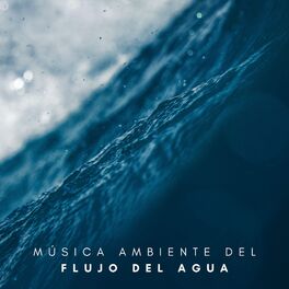 Album cover of Música Ambiente Del Flujo Del Agua