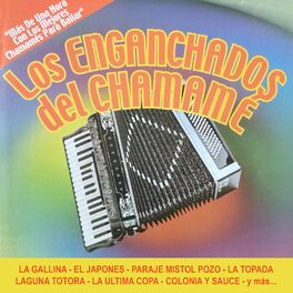 Album cover of Los Enganchados del Chamamé