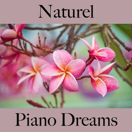 Album cover of Naturel: Piano Dreams - La Meilleure Musique Pour Se Détendre