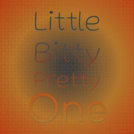 Album cover of Little Bitty Pretty One