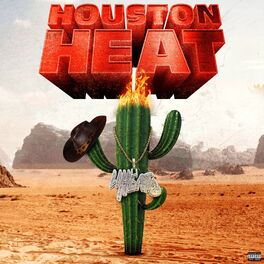 Album cover of Houston Heat