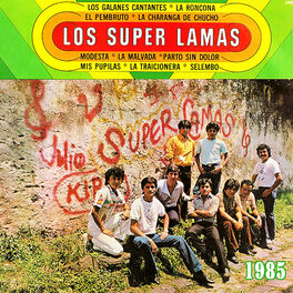Album cover of Los Galanes Cantantes