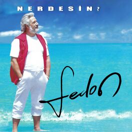 Album cover of Nerdesin